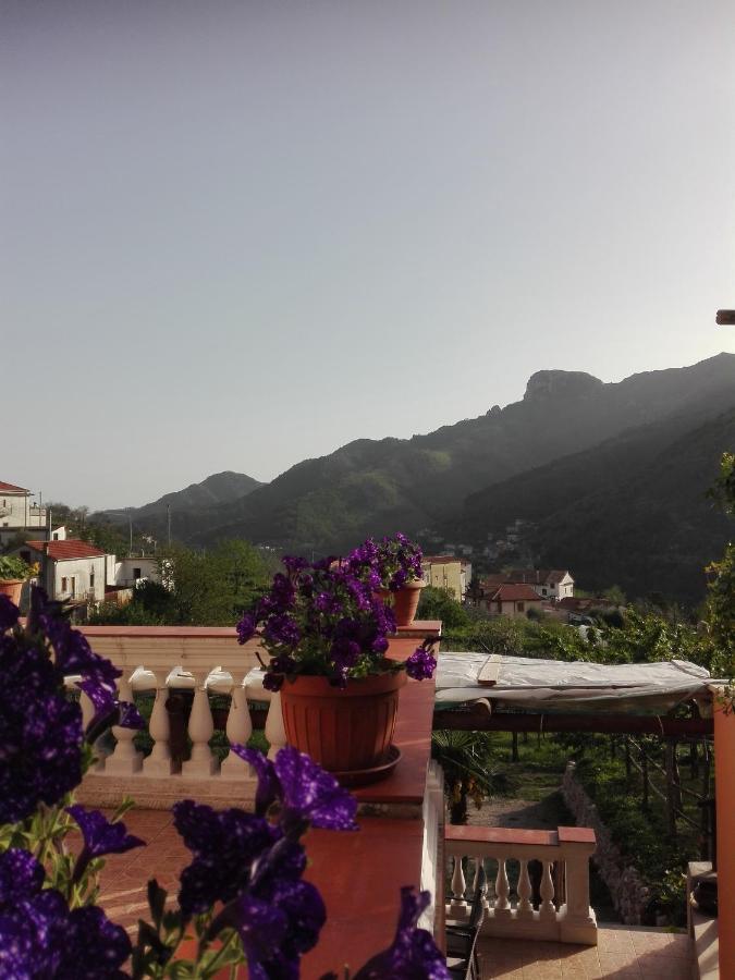 Villa Antica Casa Cavaliere Tramonti Exterior foto